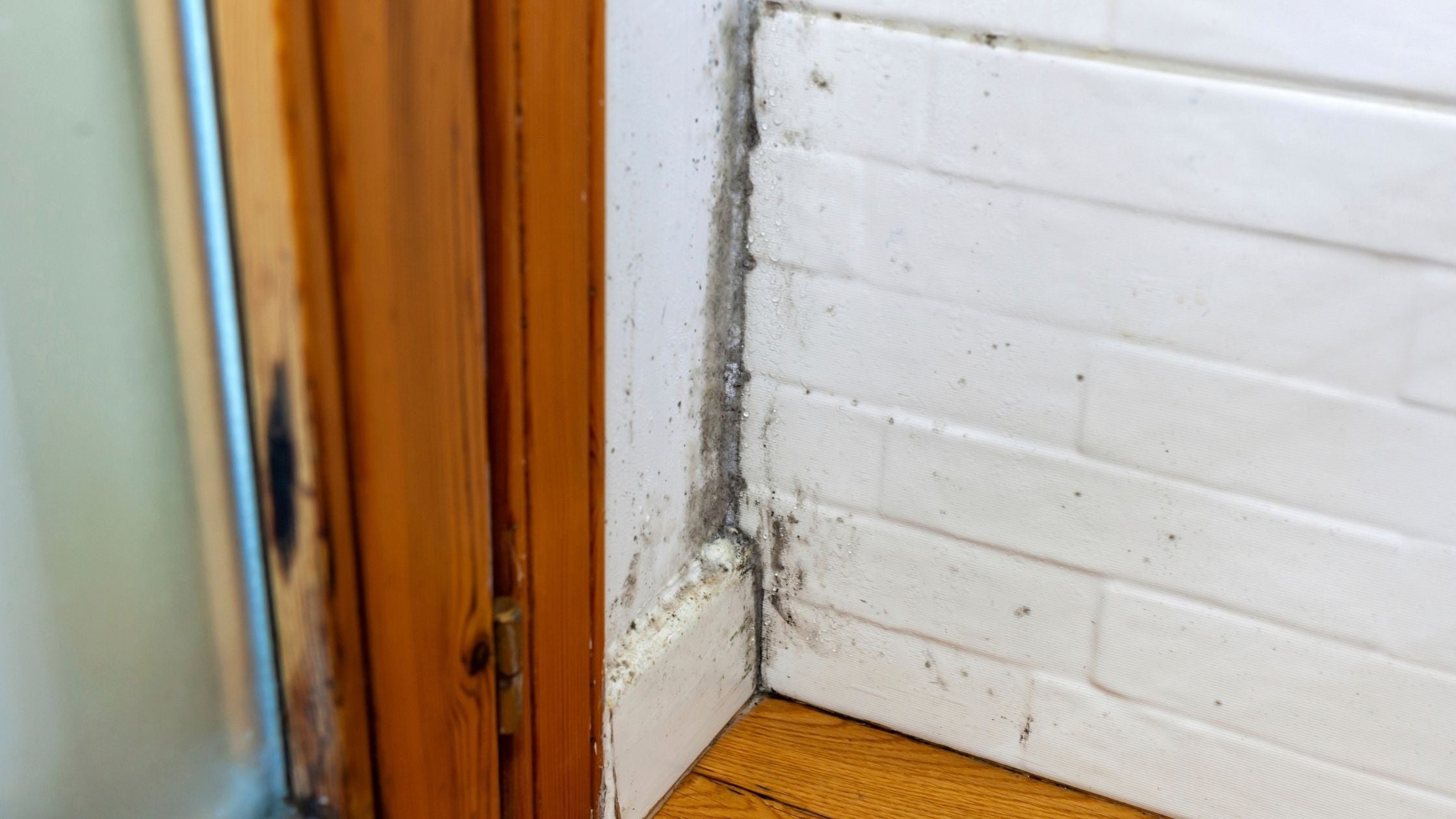 Mould on brick wall inside a house