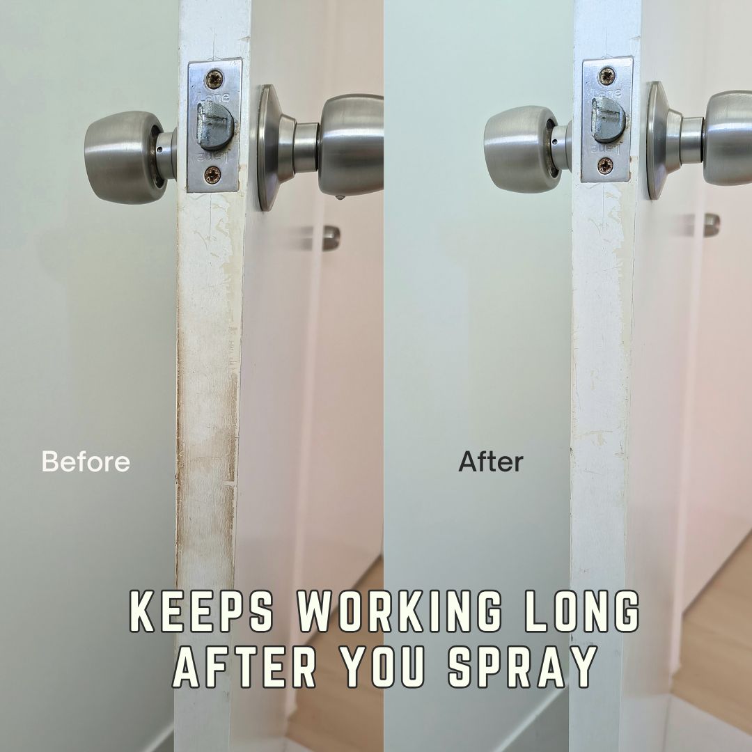 BALANCE All-Purpose Probiotic Cleaner Concentrate