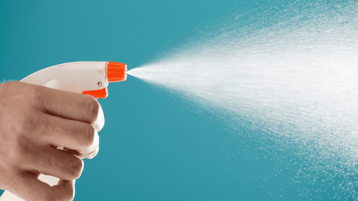 Clean Bush The Best Way to Treat Mould With Bushby Cleaning Products