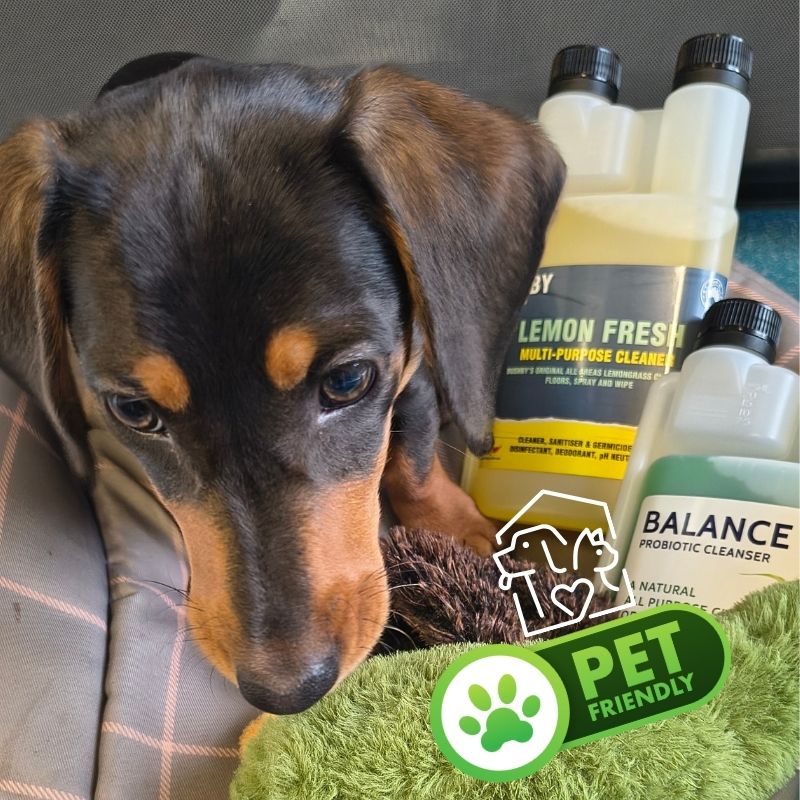 LEMON FRESH 4 WAY - Multipurpose Cleaner