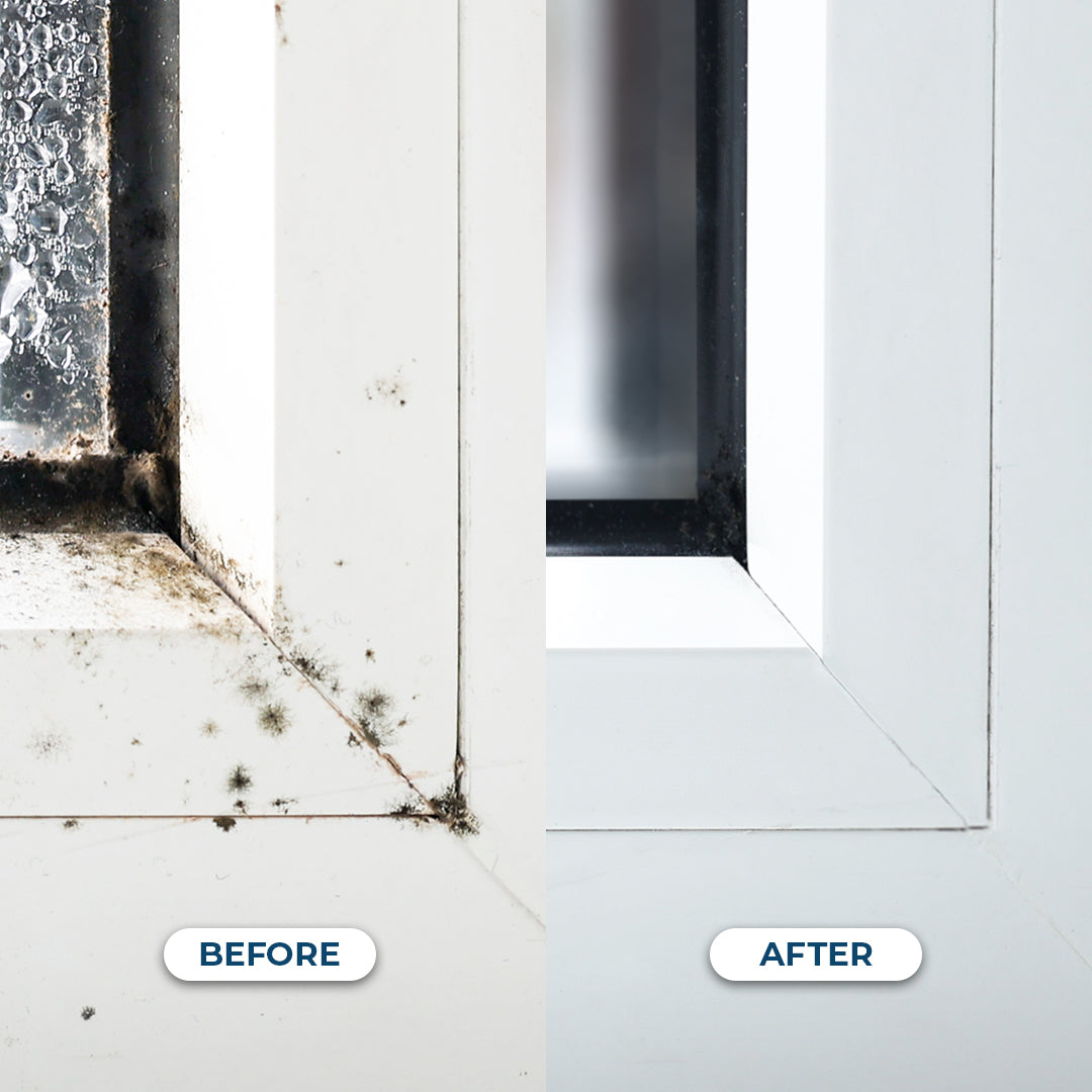 Delete Mould - Mould controller and inhibitor