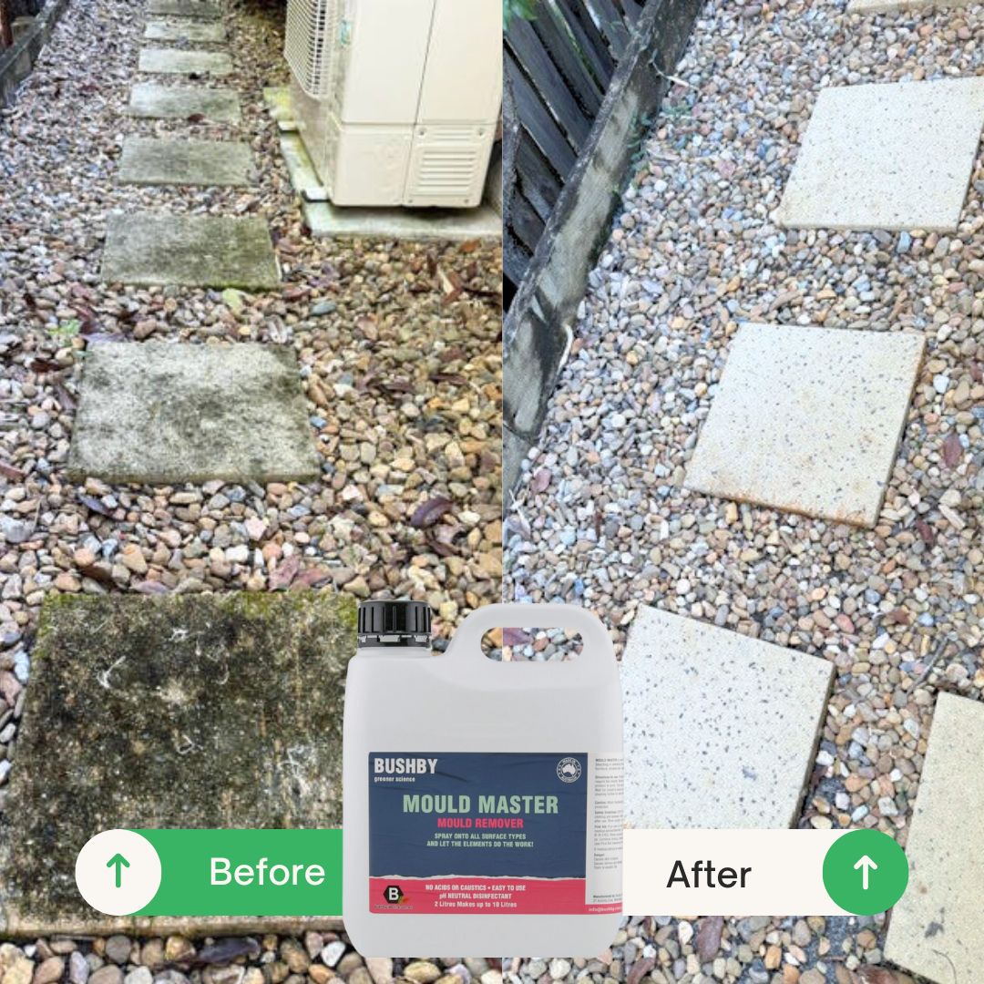 Mould Master – Bleach-Free Mould Remover