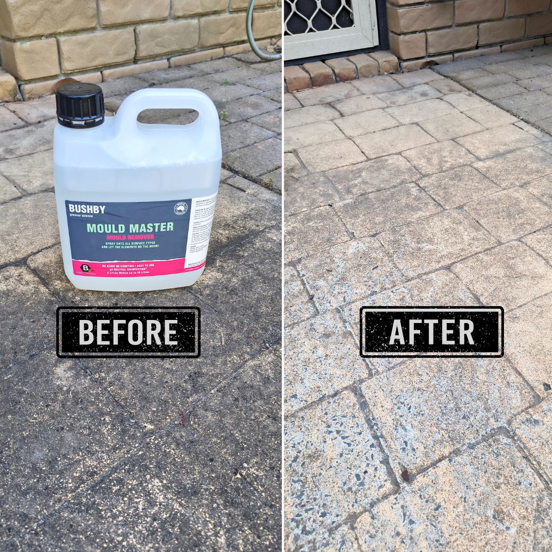 Mould Master – Bleach-Free Mould Remover