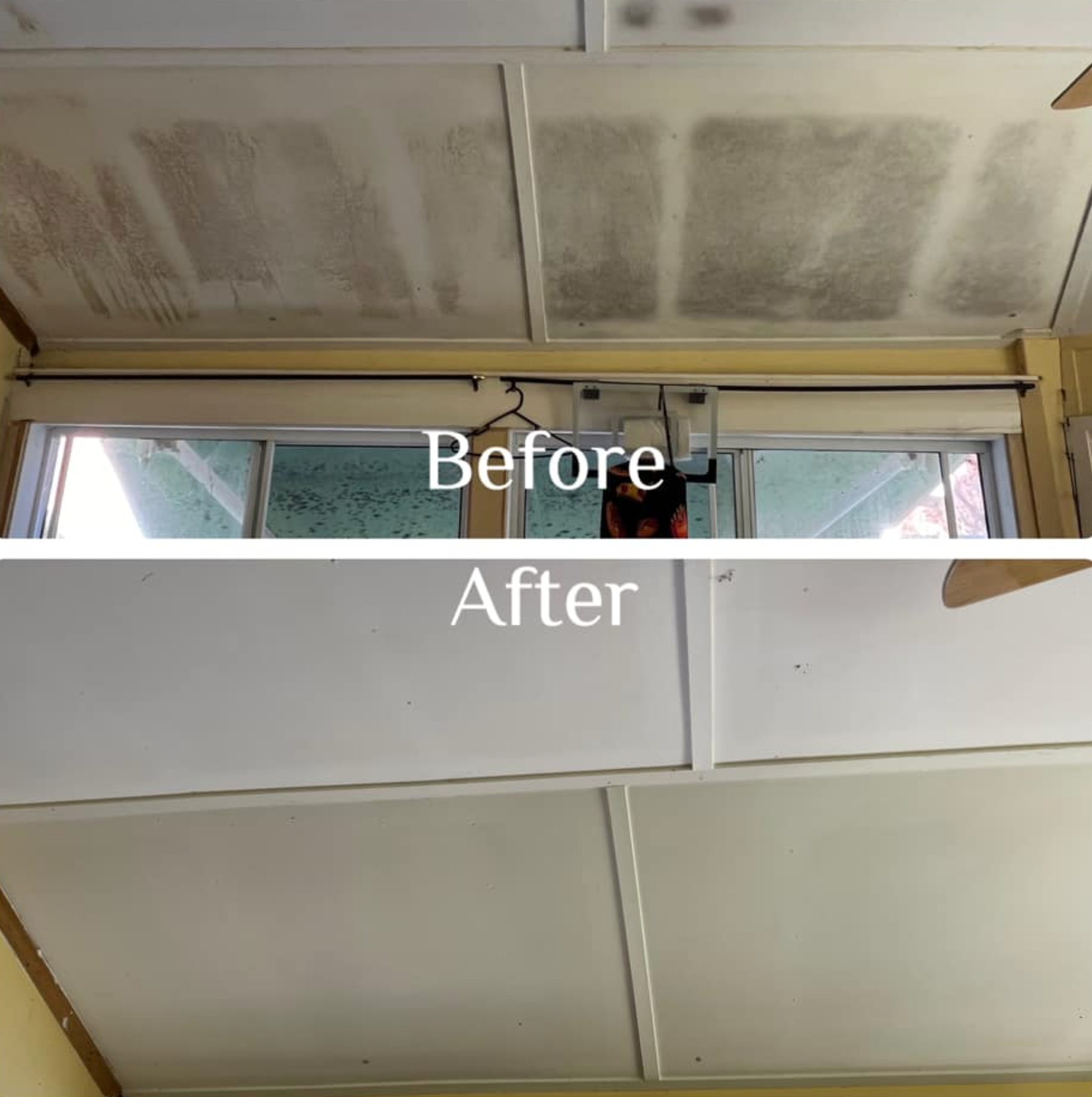 Delete Mould - Mould controller and inhibitor